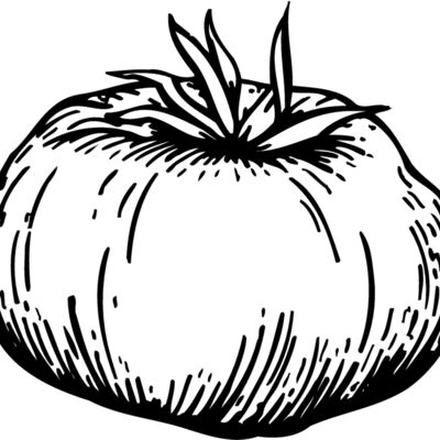 VEG015 Thumbnail