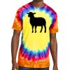 Window Tie Dye Tee Thumbnail