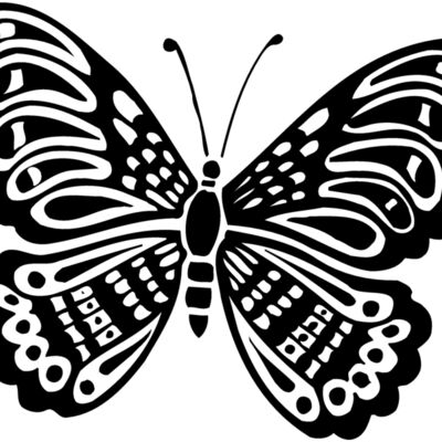 Butterflies Thumbnail