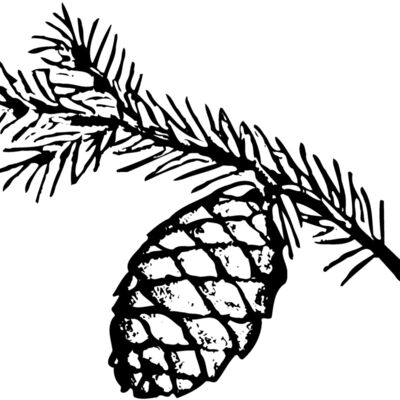 Pine Cone Thumbnail