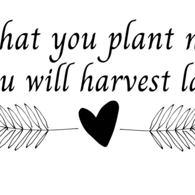 What you plant now Thumbnail