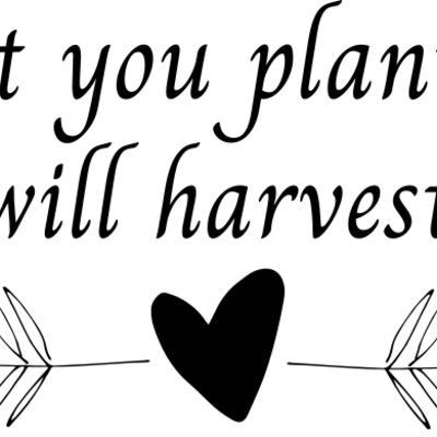 What you plant now Thumbnail