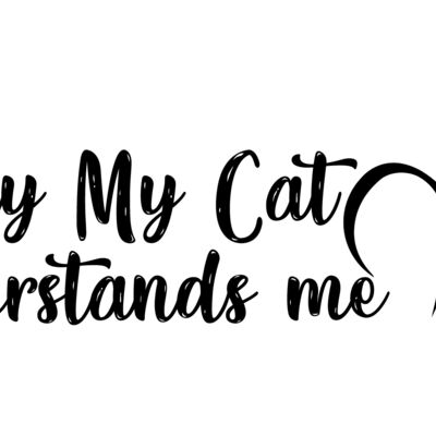 Only My Cat Understands me Thumbnail